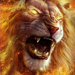 Meet your Posher, Ali